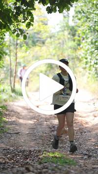 BIB:  <button type="button" onclick="openModal(27645991)" class="btn btn-primary btn-sm float-right" data-toggle="modal" data-target=".modal-high-quality">
                <i class="fa fa-download"></i> Download
                </button>